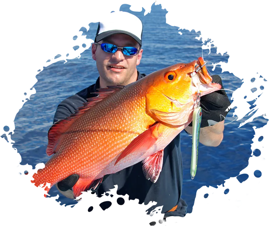 Modern Design Exotic Fishinizerry - 开元体育